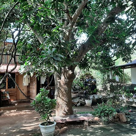 Serenity House In Dambulla Exteriör bild