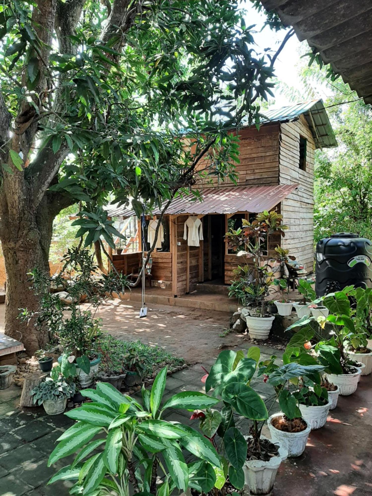 Serenity House In Dambulla Exteriör bild