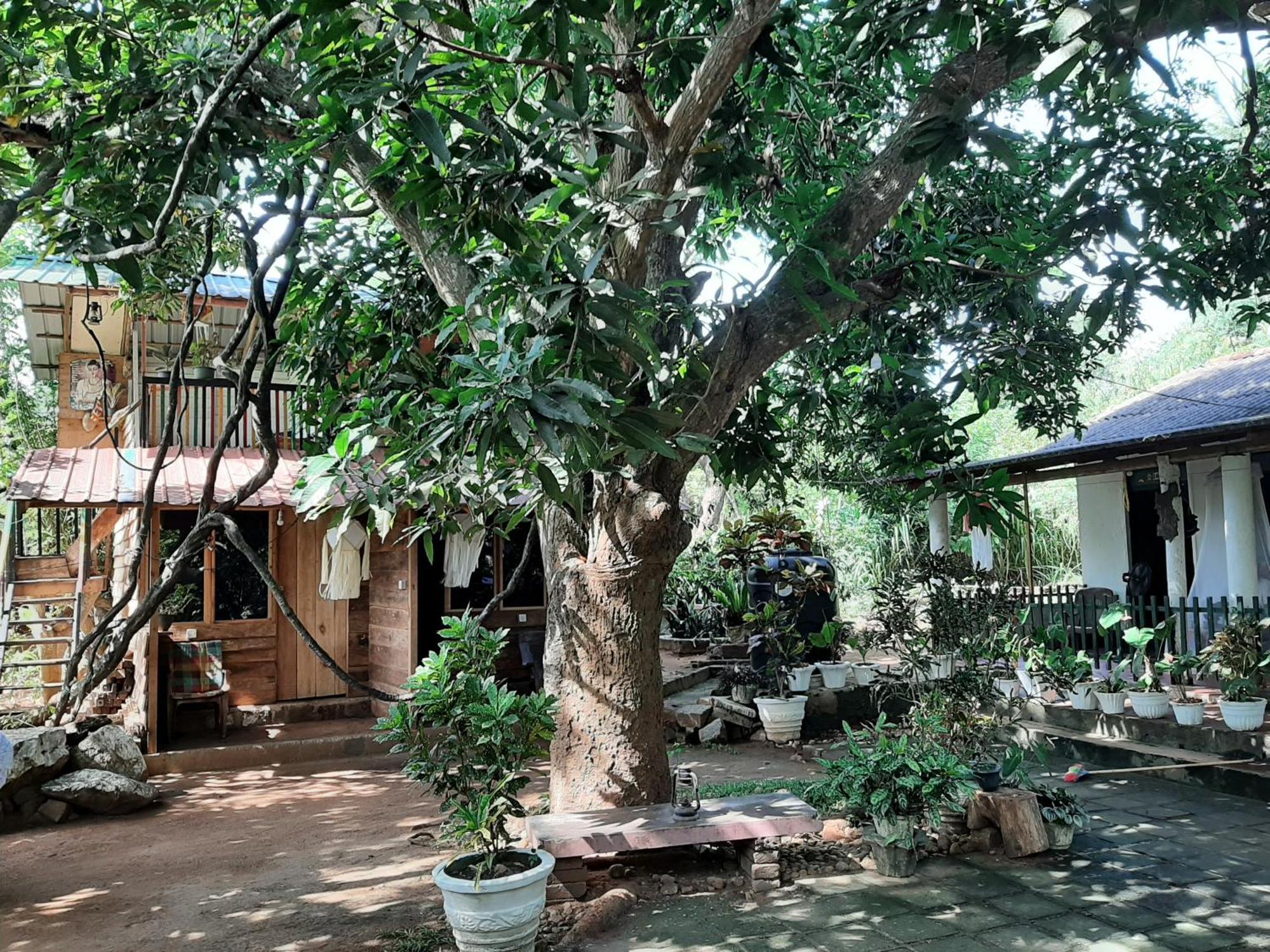 Serenity House In Dambulla Exteriör bild