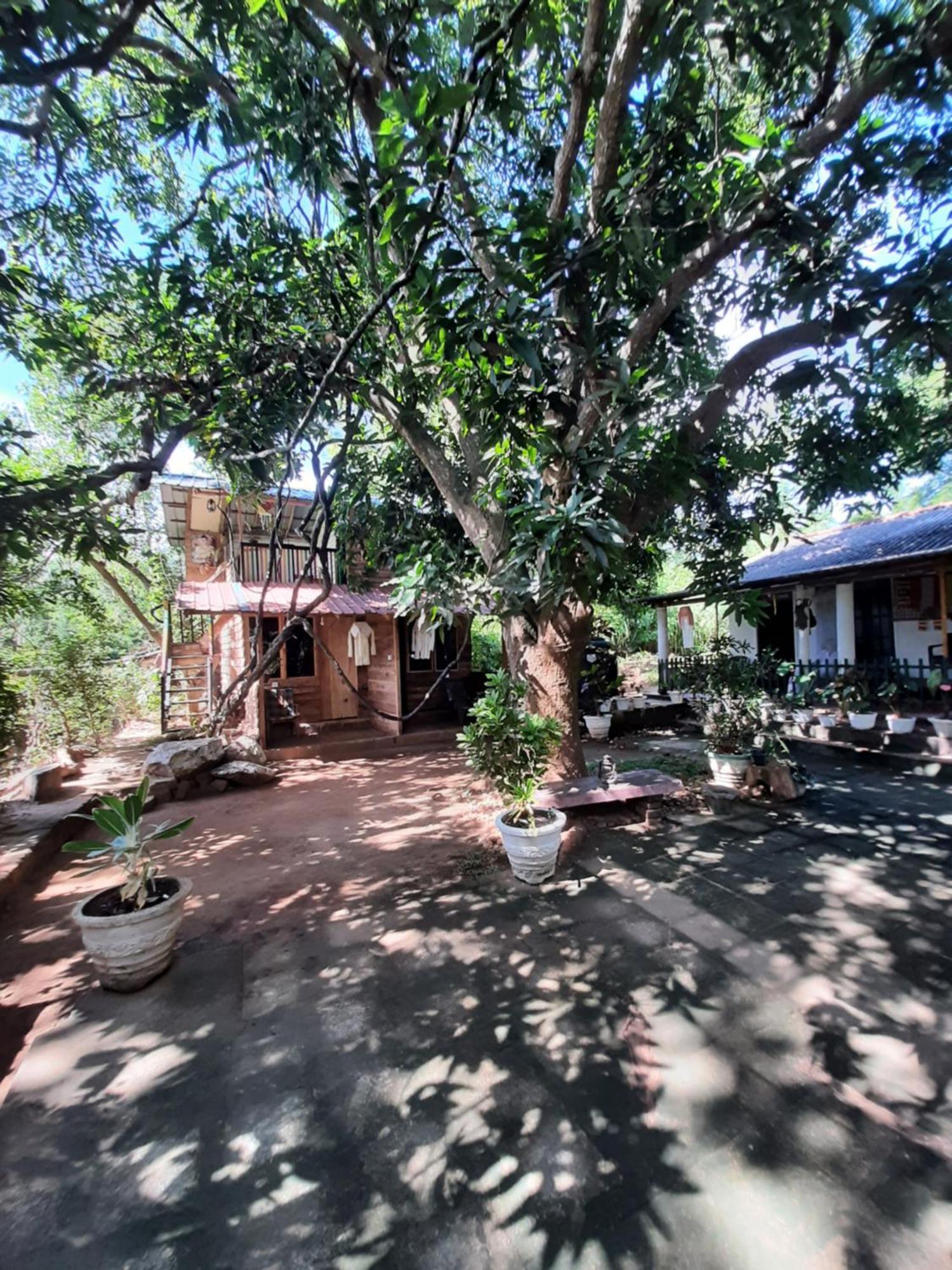 Serenity House In Dambulla Exteriör bild